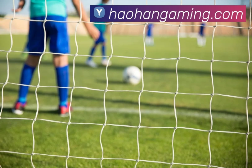 App Interface Preview